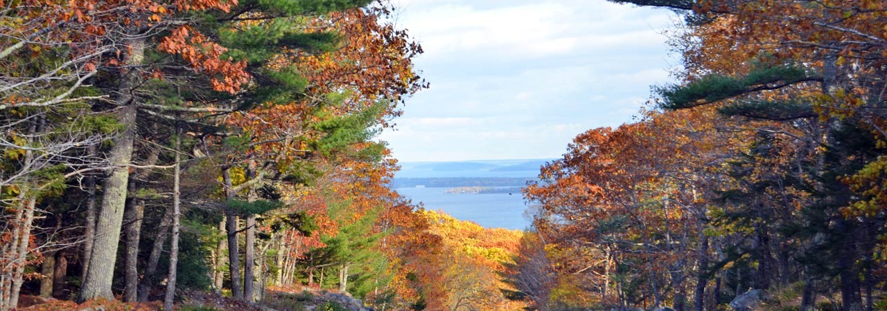 Fall foliage in Camden