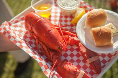 How to Eat Lobster in Camden Maine