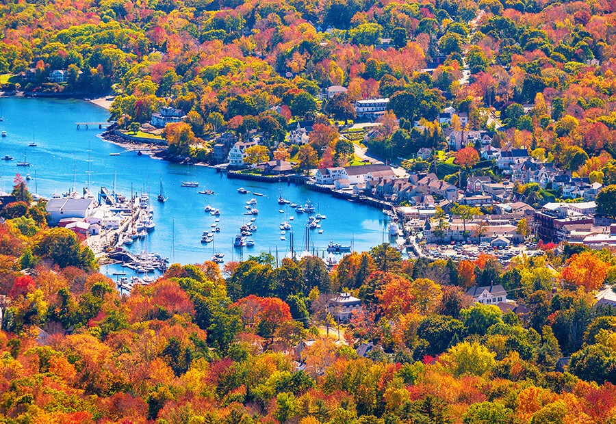 fall foliage in Camden, Maine